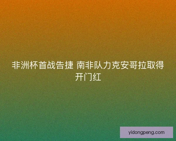 非洲杯首战告捷 南非队力克安哥拉取得开门红