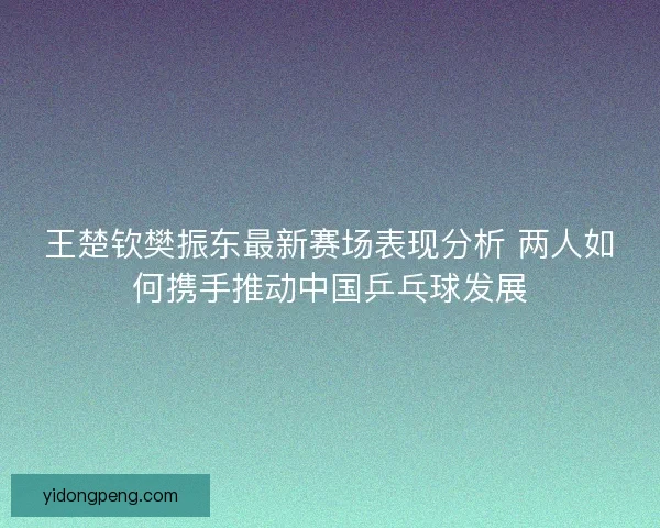 王楚钦樊振东最新赛场表现分析 两人如何携手推动中国乒乓球发展 王楚钦樊振东最新赛场表现分析 两人如何携手推动中国乒乓球发展