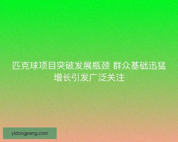 匹克球项目突破发展瓶颈 群众基础迅猛增长引发广泛关注 匹克球项目突破发展瓶颈 群众基础迅猛增长引发广泛关注