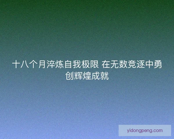 十八个月淬炼自我极限 在无数竞逐中勇创辉煌成就