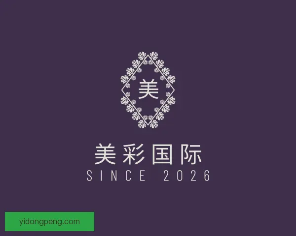 关于美彩国际
